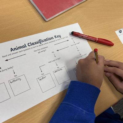 Classifying Animals