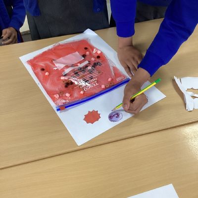Learning about blood