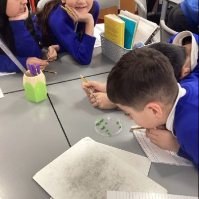 Solid? Liquid? Gas?